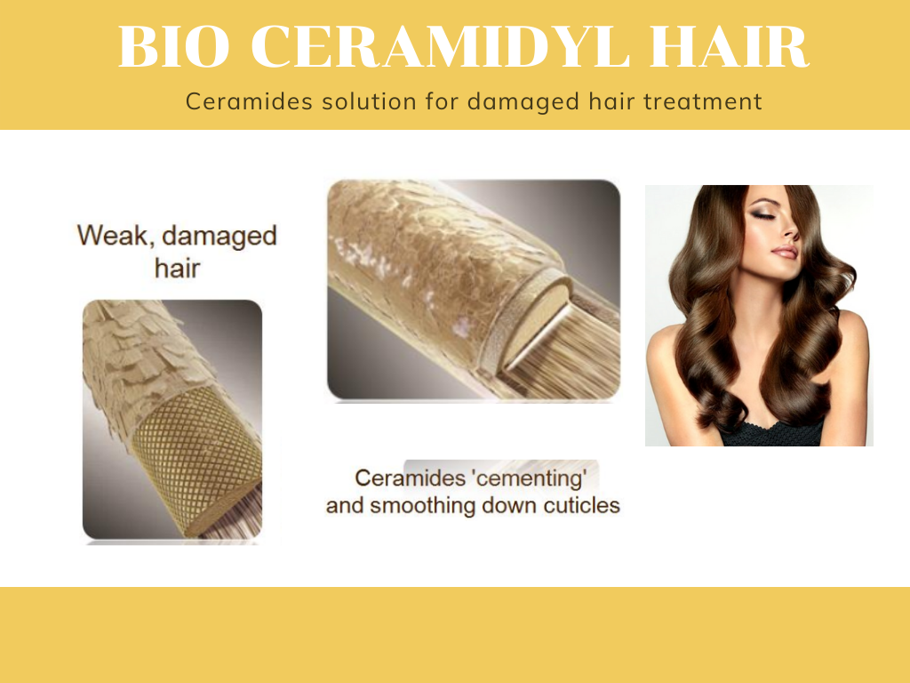 Bio Ceramidyl Hair เซราไมด์เข้มข้นและมีความบริสุทธิ์สูง ช่วยซ่อมแซม ฟื้นฟูผมเสียจากสารเคมี และรังสีUV